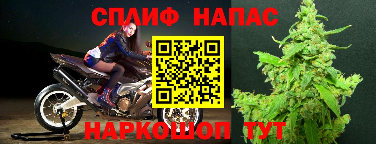 Конопля тримм Орёл